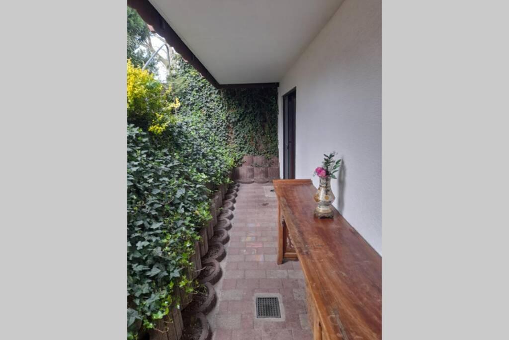 Souterrain Wohnung In Bensheim Exteriör bild